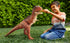 17386832-4.jpg