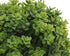 16738472-1.jpg