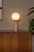 18580037-1.jpg