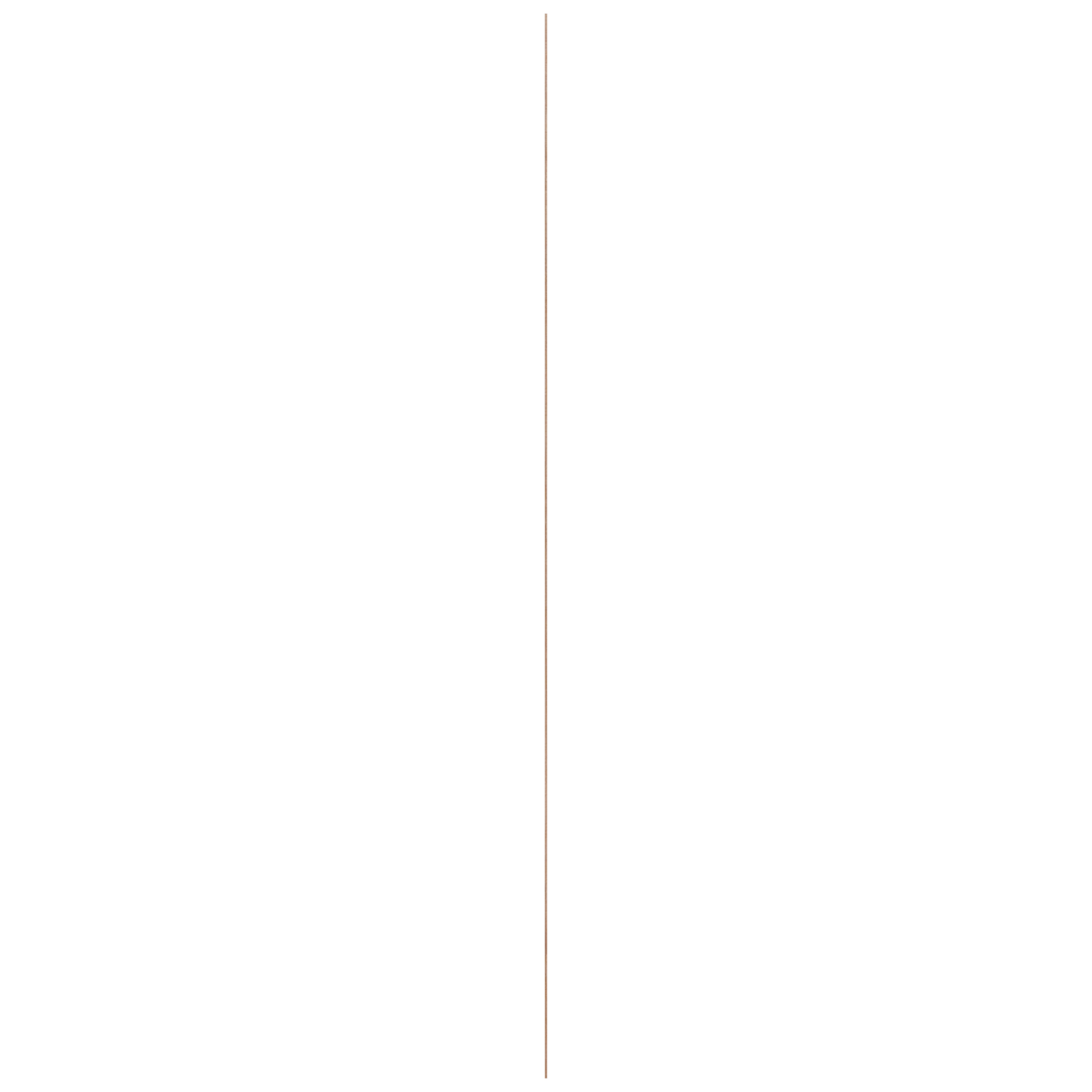 14998834-5.jpg