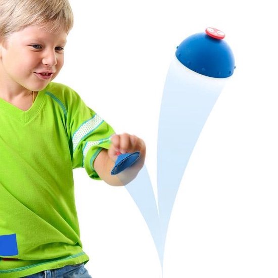 12768538.jpg