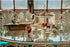 18472828-4.jpg