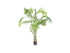 17946249.jpg