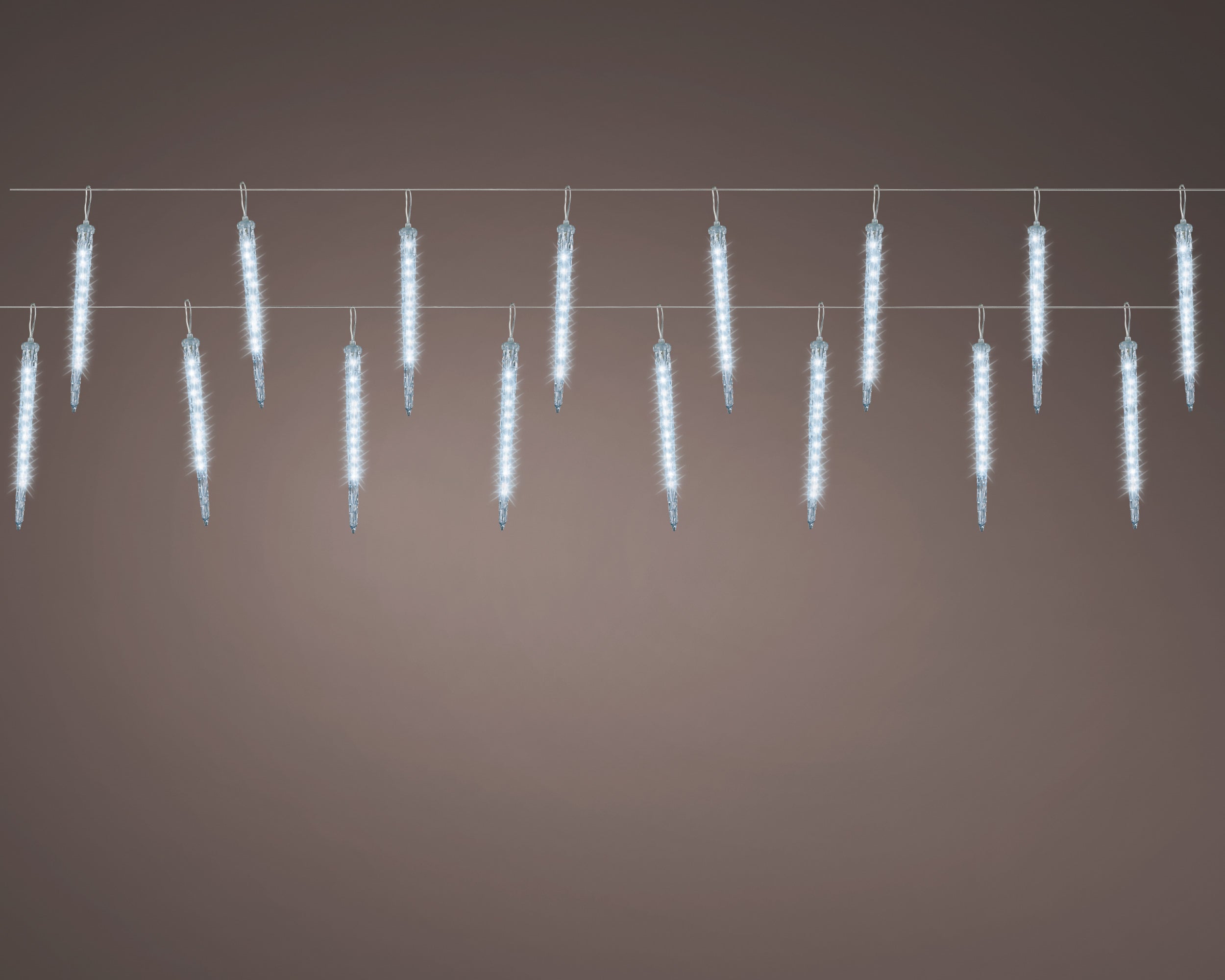 497427.jpg