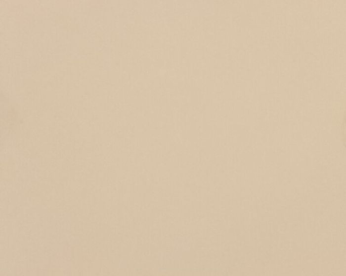 18098686.jpg