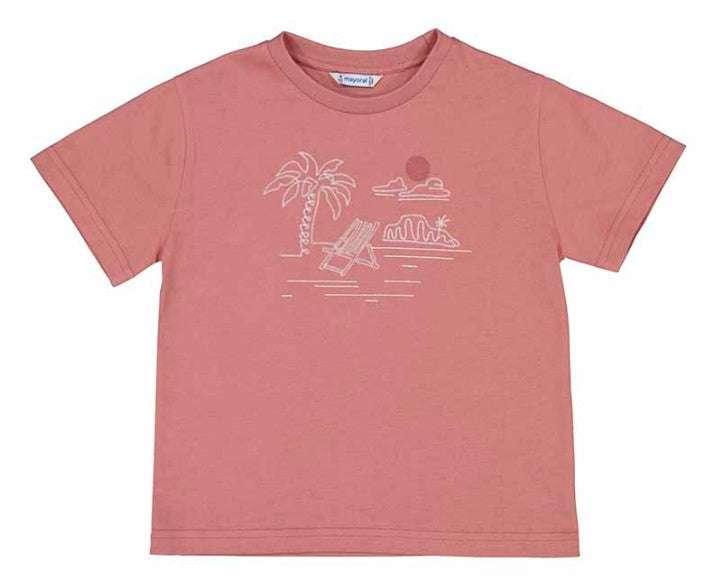 18833304.jpg
