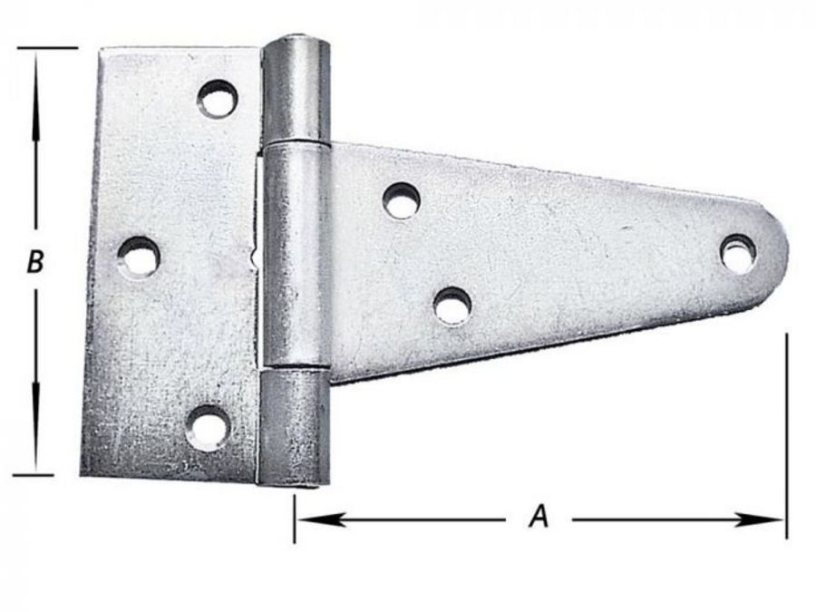 14748549.jpg