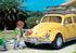 17326018-6.jpg