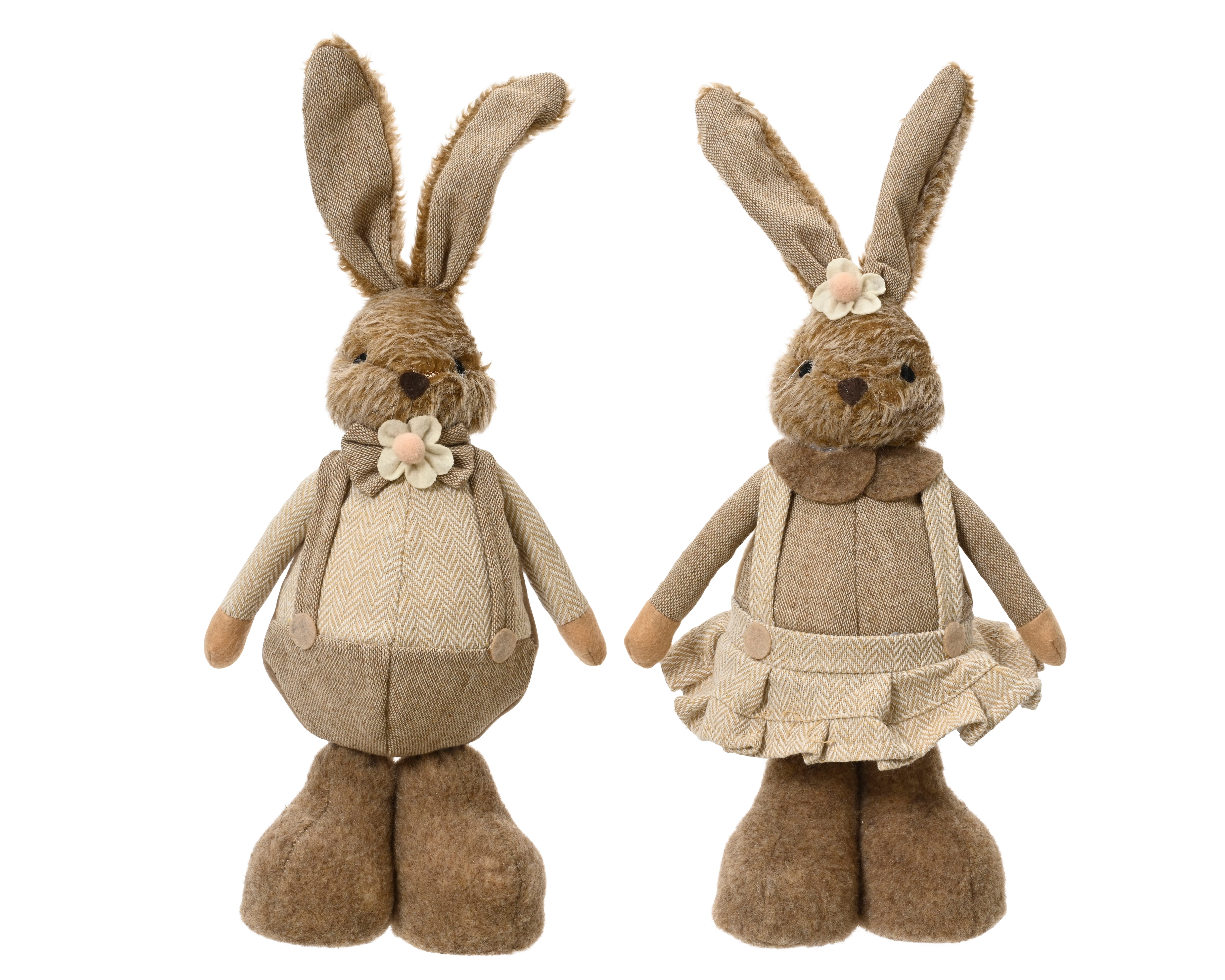 18856484.jpg
