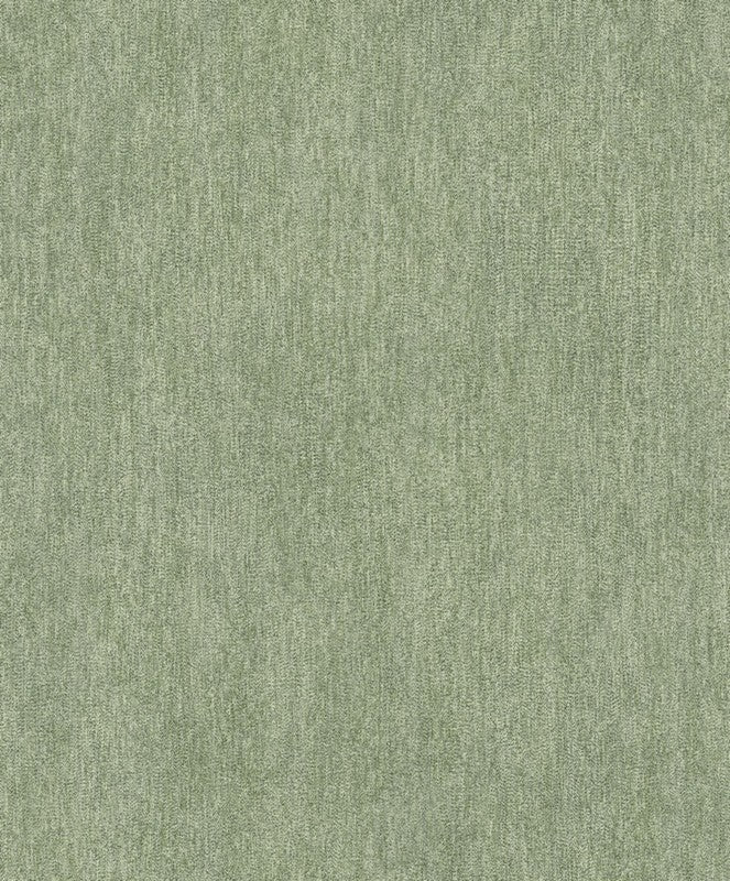 16785843.jpg