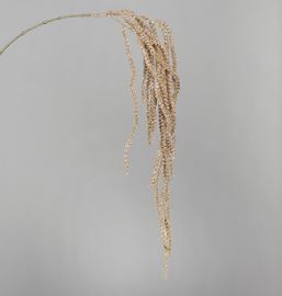 18620384.jpg