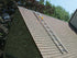 15988351-2.jpg