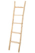20055848.jpg