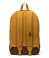 17566034-2.jpg
