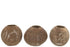 17519928.jpg
