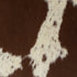 17258362-2.jpg