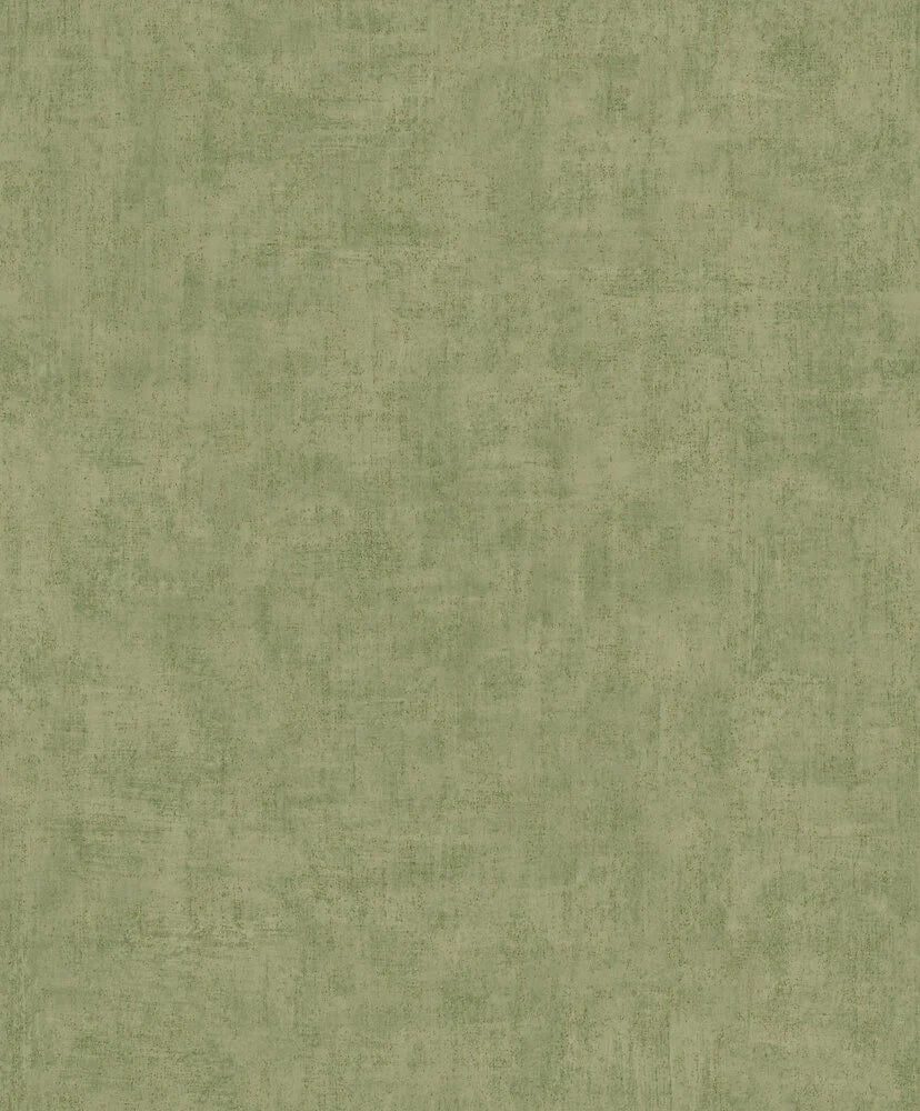17658252.jpg