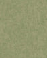 17658252.jpg