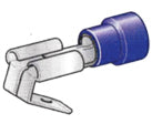 307675-1.jpg