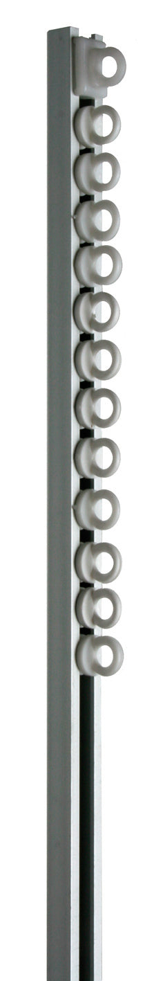 16583300.jpg