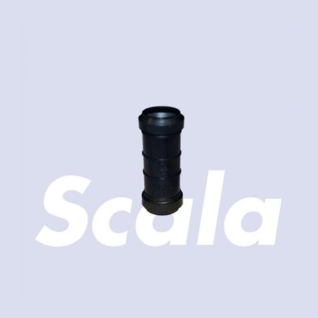 20046923.jpg