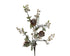 18195271.jpg
