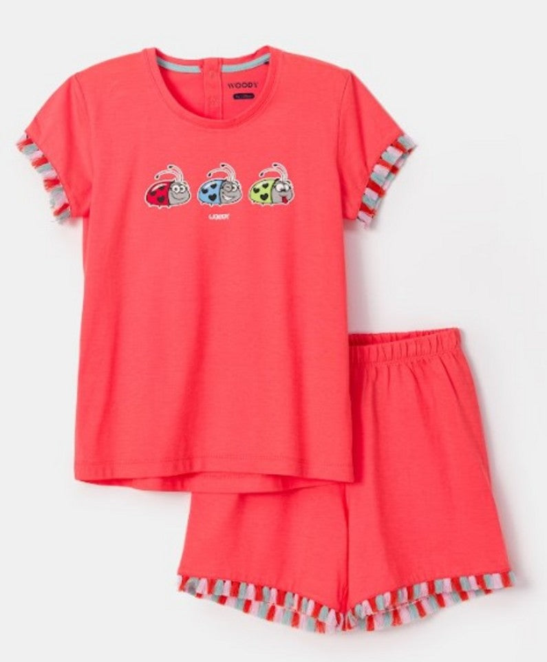 18798155.jpg