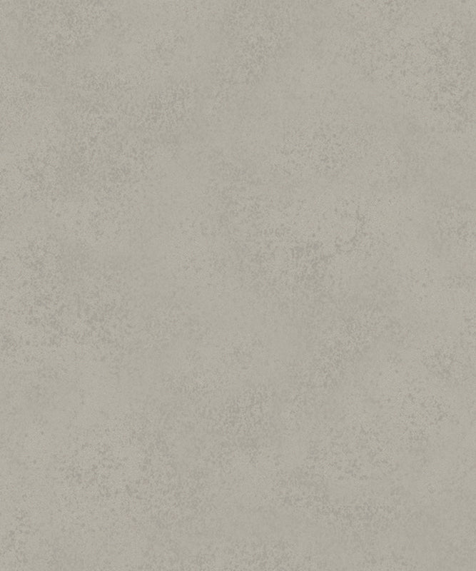 15206989.jpg