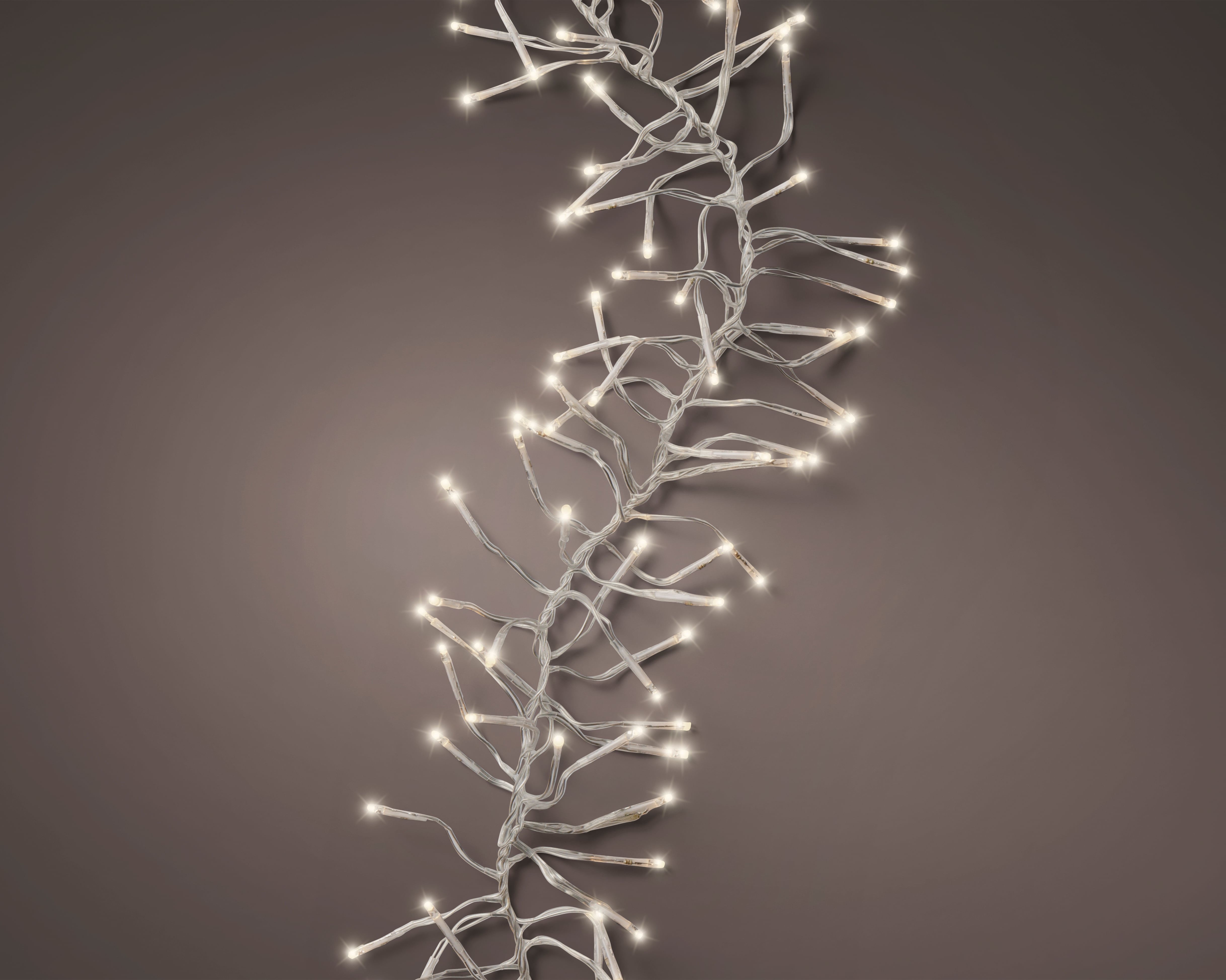 18648540.jpg
