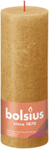 17381572.jpg