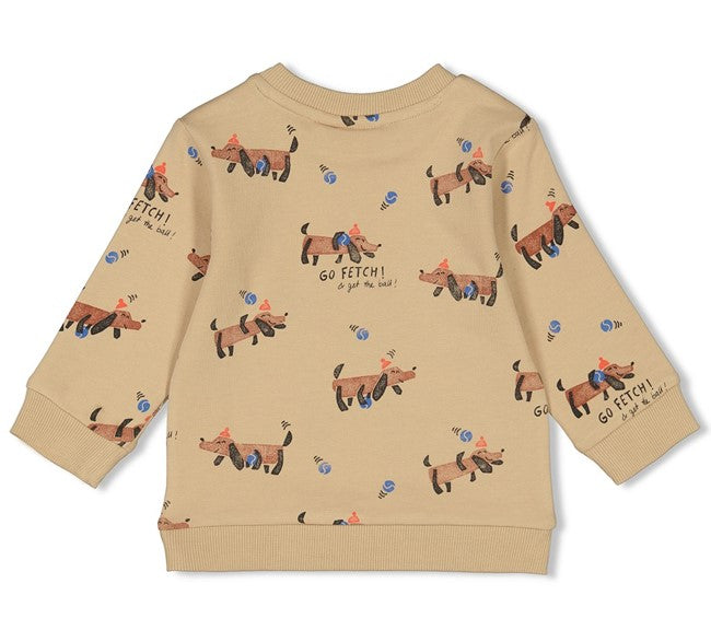 18661712-1.jpg