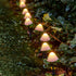 18384729-2.jpg